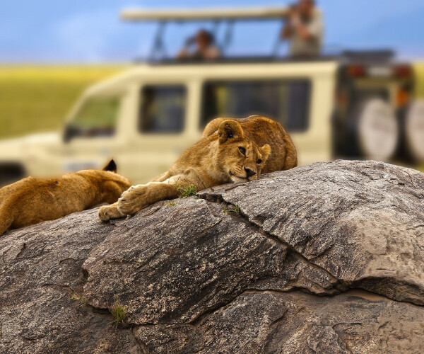 3 Giorni Safari Avventura nel Serengeti e Ngorongoro